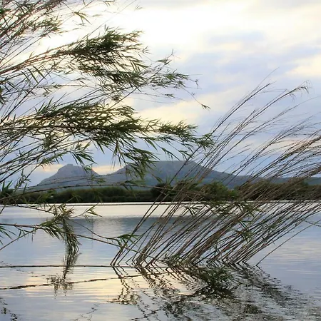 Ap C/golf 105 * Pals